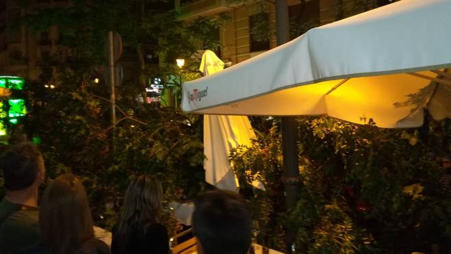 Un árbol cae sobre las mesas de una terraza en la calle Conde Altea de Valencia