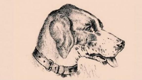 Sólo el 1% de las personas ve al cuidador