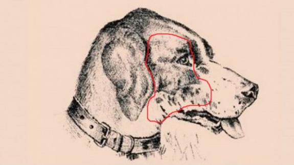 Solución | Sólo el 1% de las personas ve al cuidador