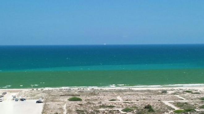 El mar se vuelve verde en la playa de El Saler