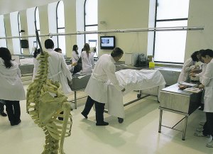 Los Medicos De Castellon Alertan Del Riesgo De Aplazar Medicina Un Ano Las Provincias