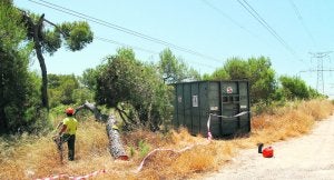 Red Eléctrica replantará 9.000 árboles por las talas en la Vallesa